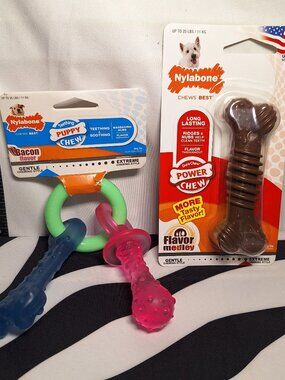NWT Nylabone Dog Puppy & Power Chew Dog Toys -  2 Pack